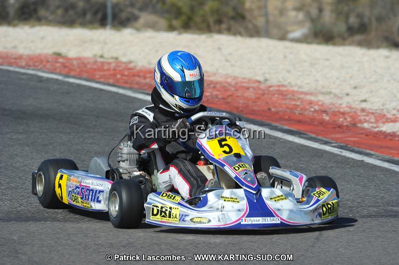 DSC_8568.JPG
