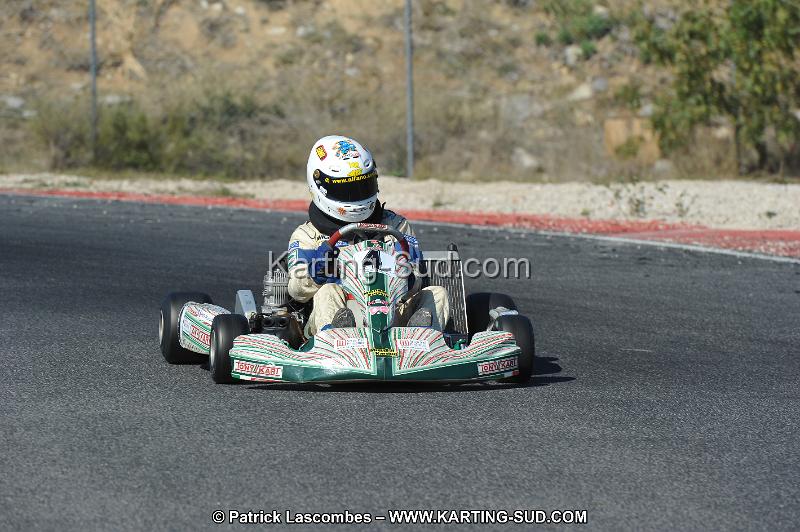 DSC_8572.JPG