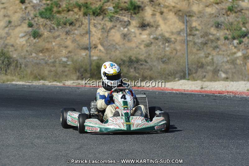 DSC_8588.JPG