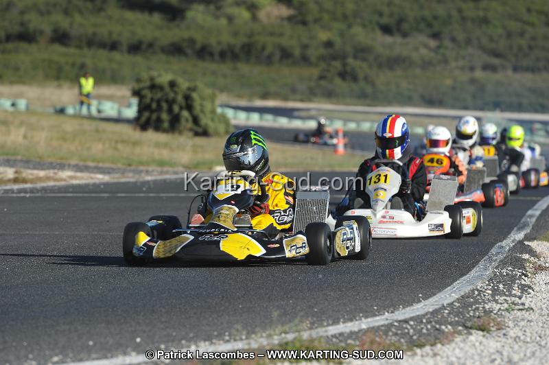 DSC_8633.JPG