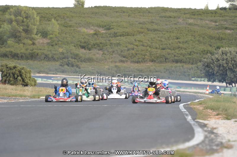 DSC_8796.JPG