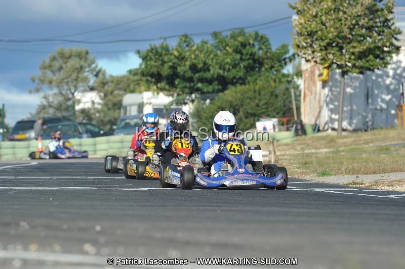 DSC_8867.JPG