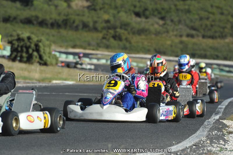 DSC_9060.JPG