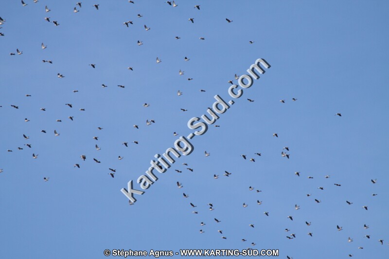 IMG_6083.JPG