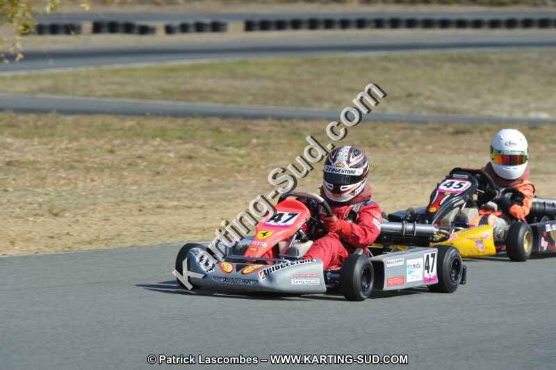 DSC_0178.JPG