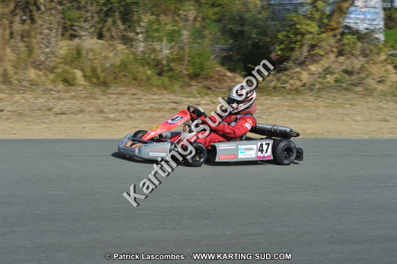 DSC_0186.JPG