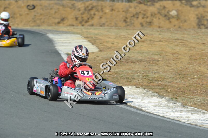 DSC_0217.JPG
