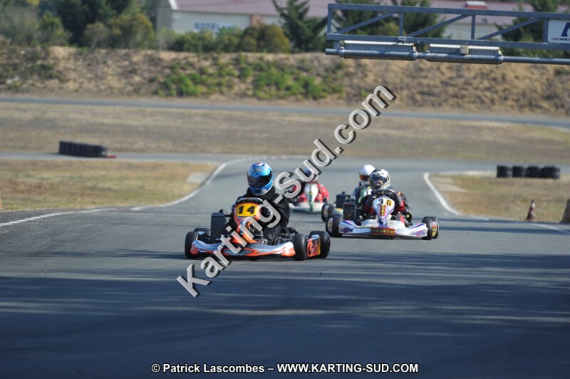 DSC_0250.JPG