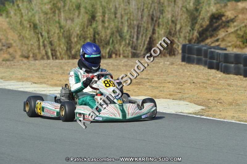 DSC_0373.JPG