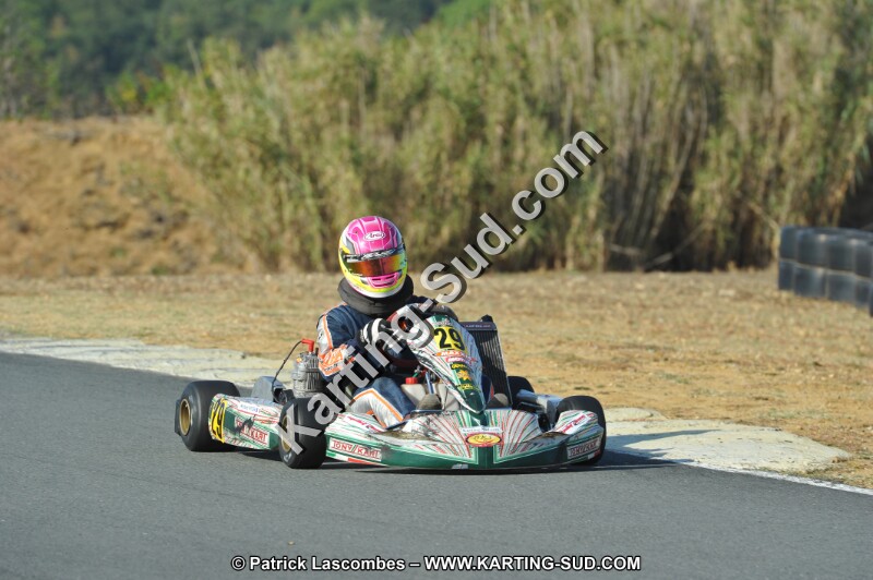 DSC_0711.JPG