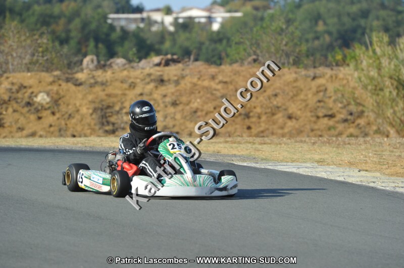 DSC_0736.JPG