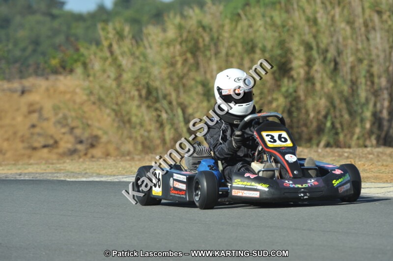 DSC_3763.JPG