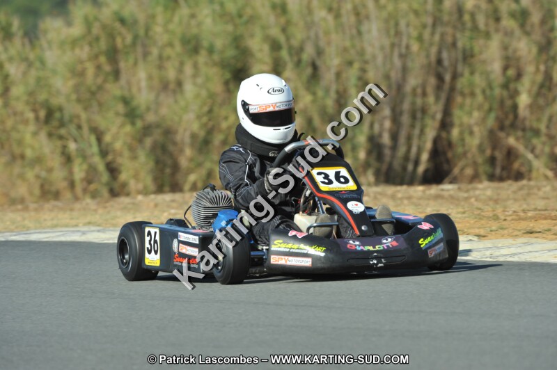 DSC_3768.JPG