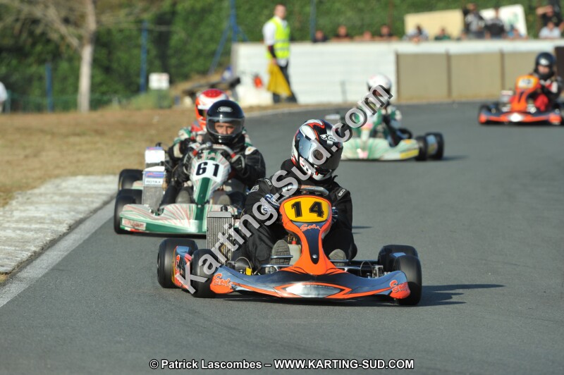 DSC_3931.JPG