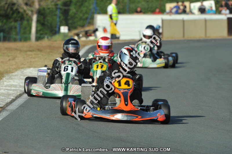 DSC_3950.JPG