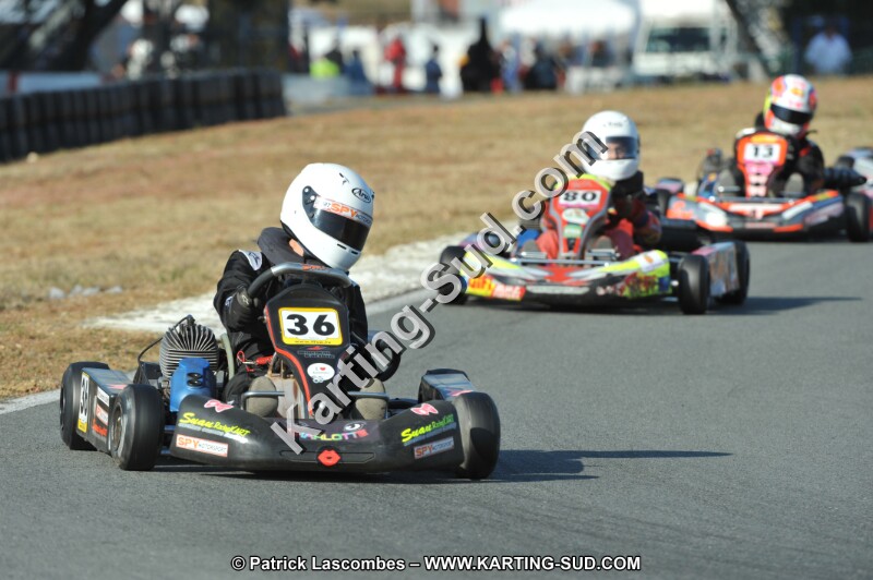 DSC_4202.JPG