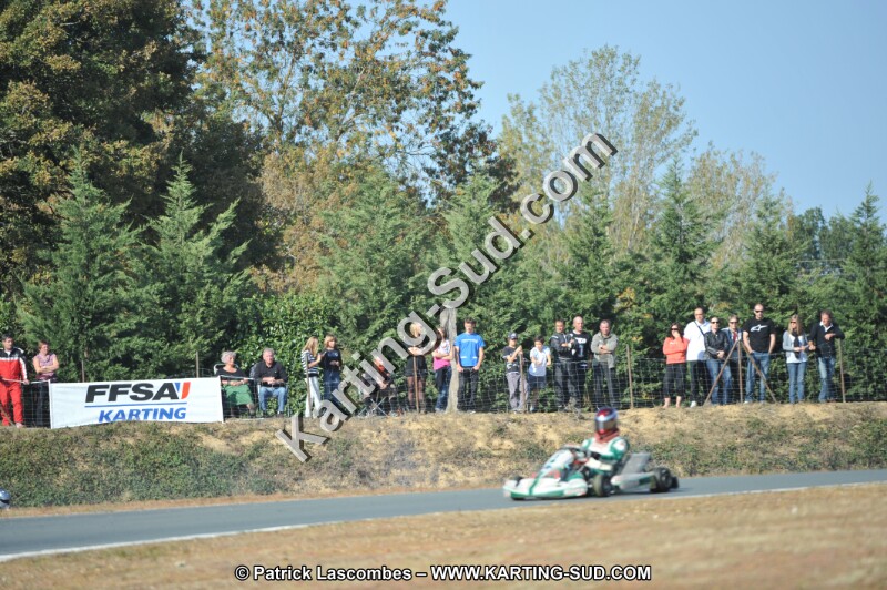 DSC_4330.JPG