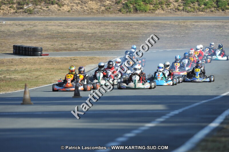 DSC_4433.JPG