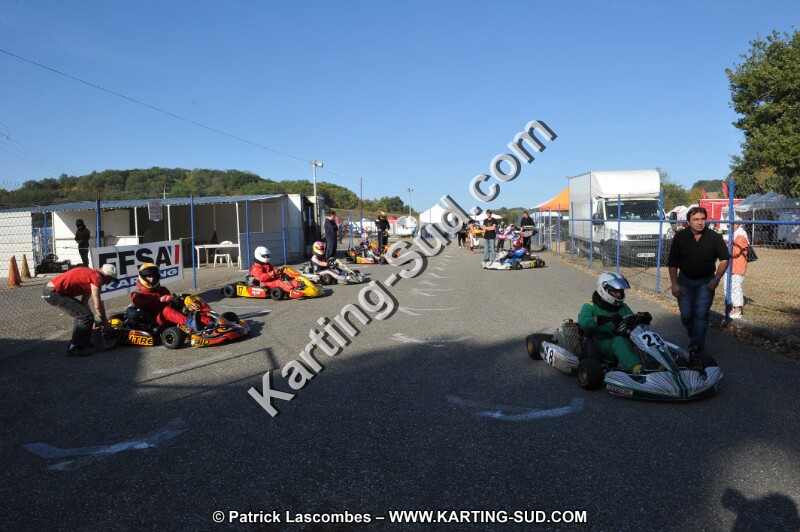 DSC_9274.JPG
