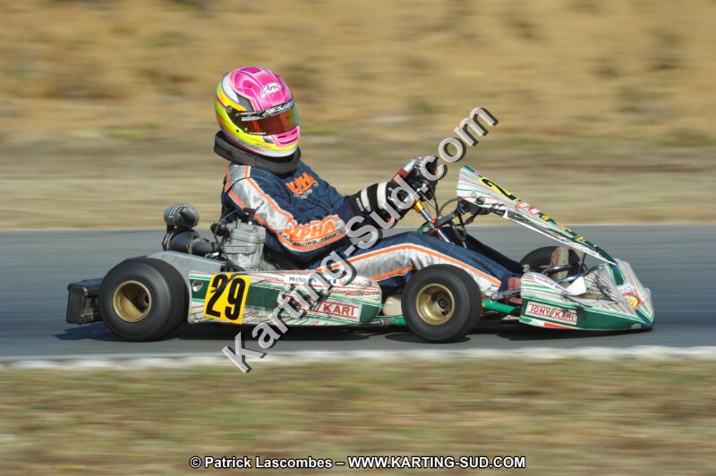 DSC_9323.JPG