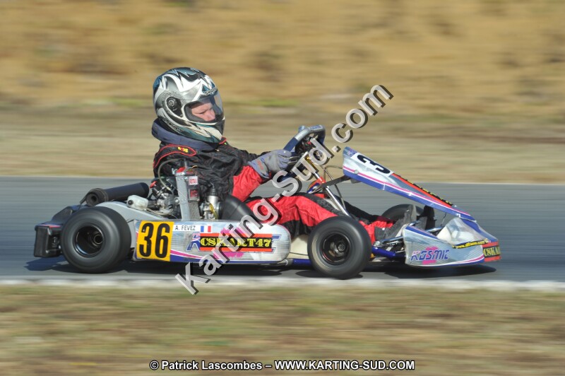 DSC_9338.JPG