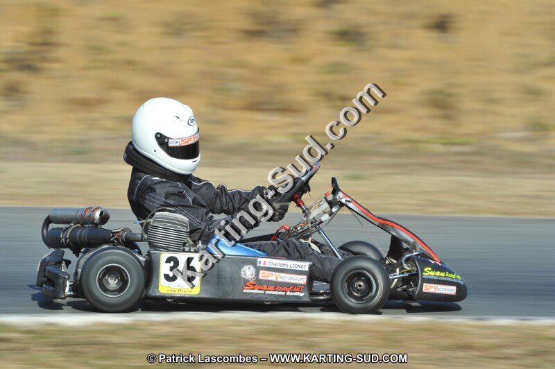 DSC_9380.JPG
