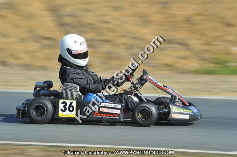 DSC_9381.JPG
