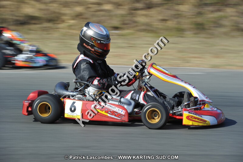 DSC_9519.JPG
