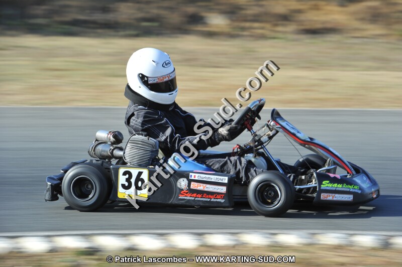 DSC_9808.JPG