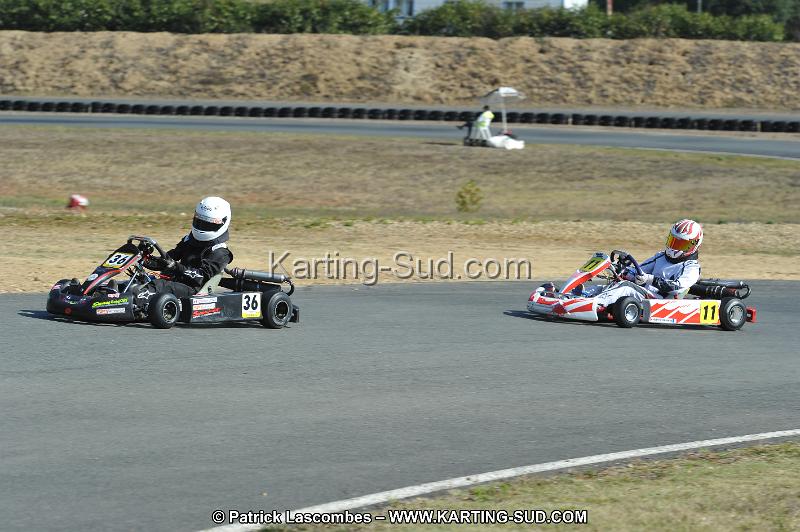 DSC_0205.JPG