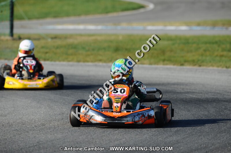 DSC_3177.JPG