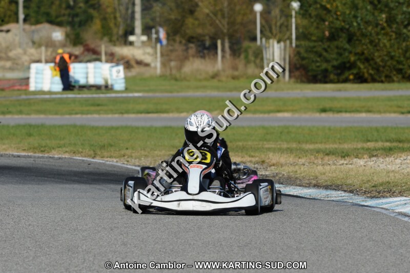 DSC_4446.JPG