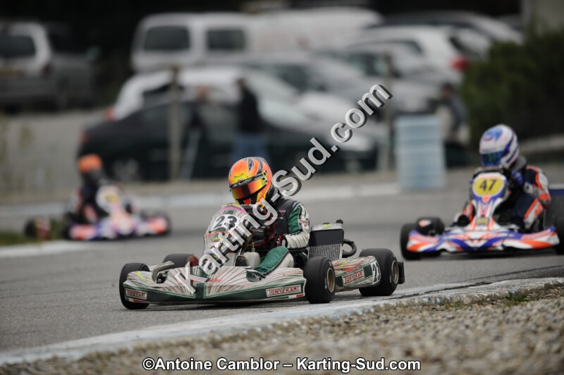 _DSC7937_DxO.jpg