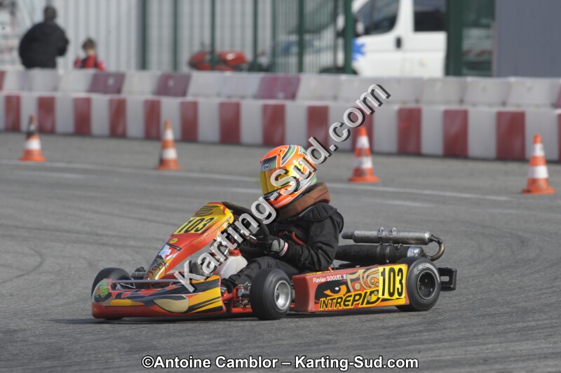 _DSC8687.JPG