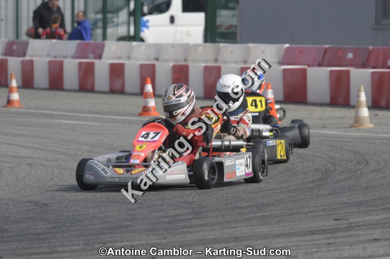 _DSC8699.JPG