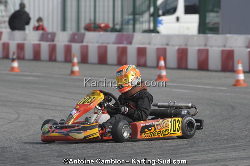 _DSC8687.JPG