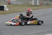 _DSC8335