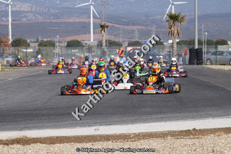 IMG_9931.JPG