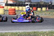 IMG_0331