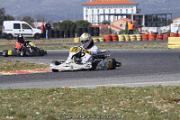 IMG_0617