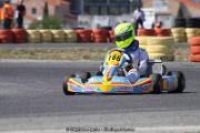 IMG_0781