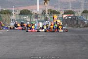 IMG_9928