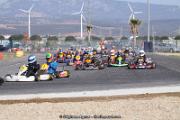 IMG_9933