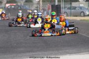 IMG_9945