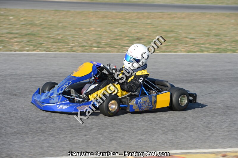 DSC_0176.jpg