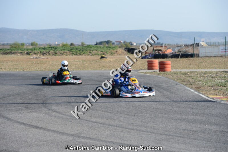 DSC_0202.jpg