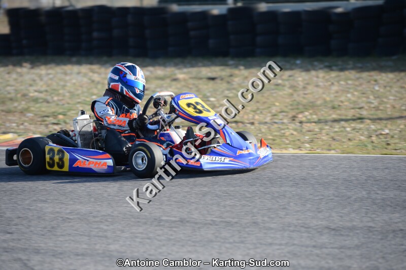 DSC_0203.jpg