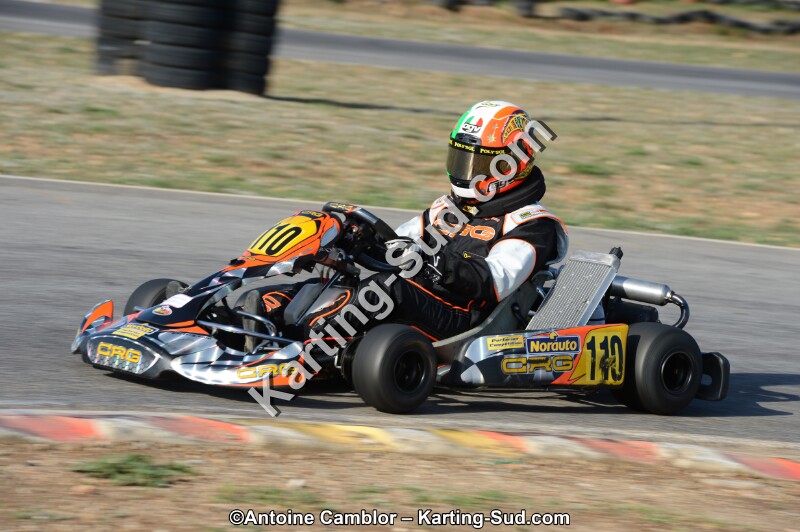 DSC_0264.jpg
