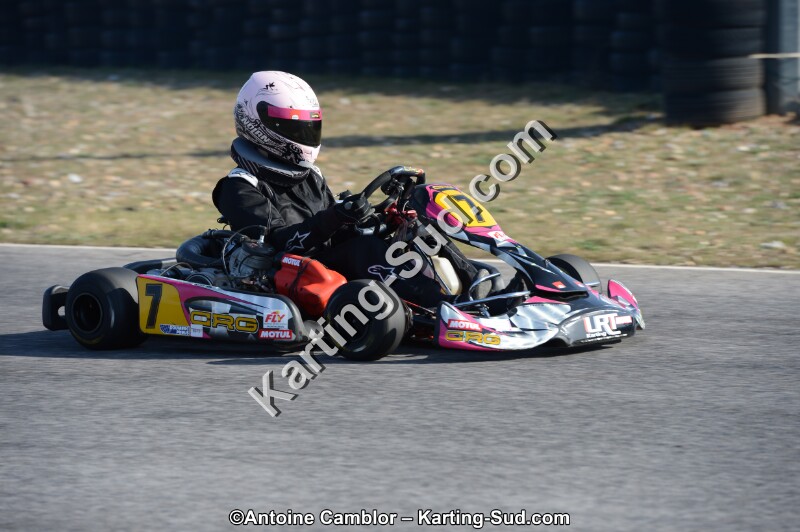 DSC_0375.jpg