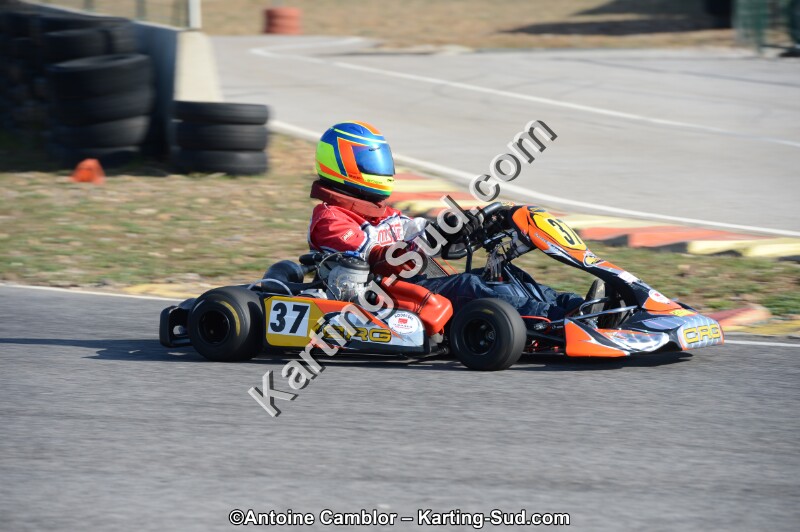 DSC_0385.jpg